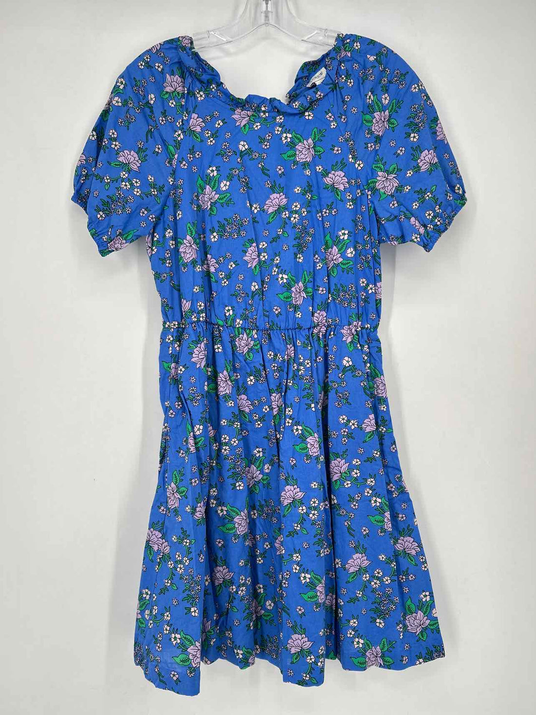 J Crew Size 6 Blue Floral Short Sleeve Dress