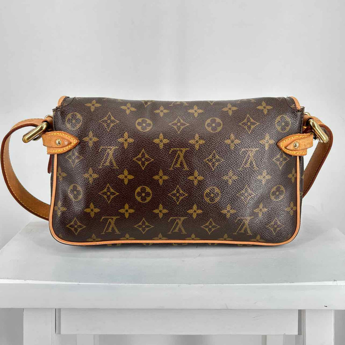 Louis Vuitton Hudson PM  Monogram Leather & Coated Canvas Vintage LUXURY