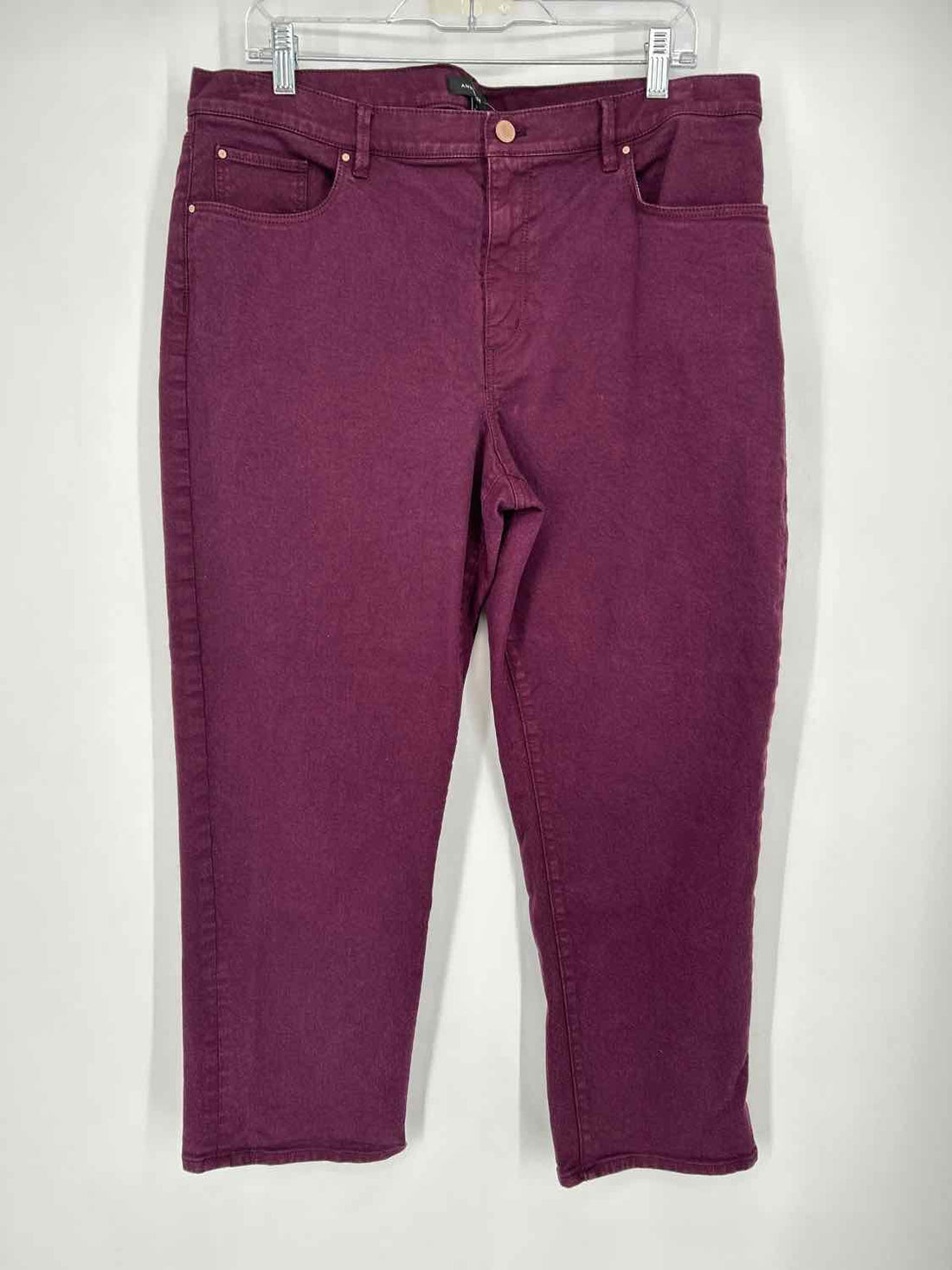 Ann Taylor Size 16 Dark Purple Jeans