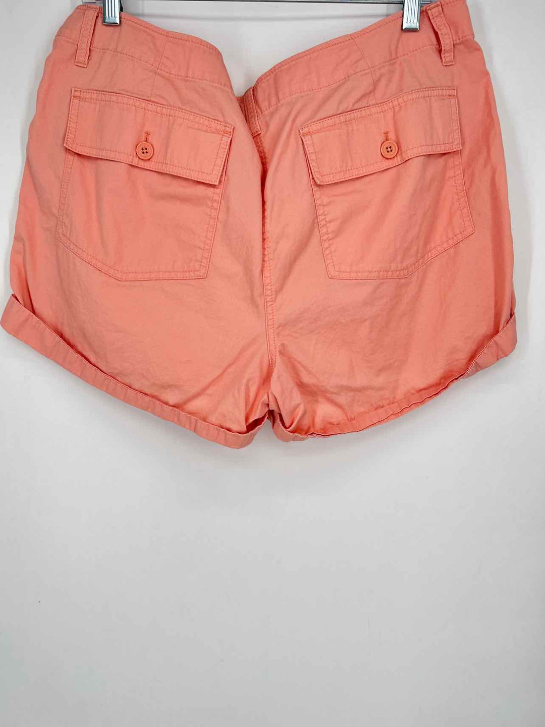 Loft Size 14 Peach Shorts