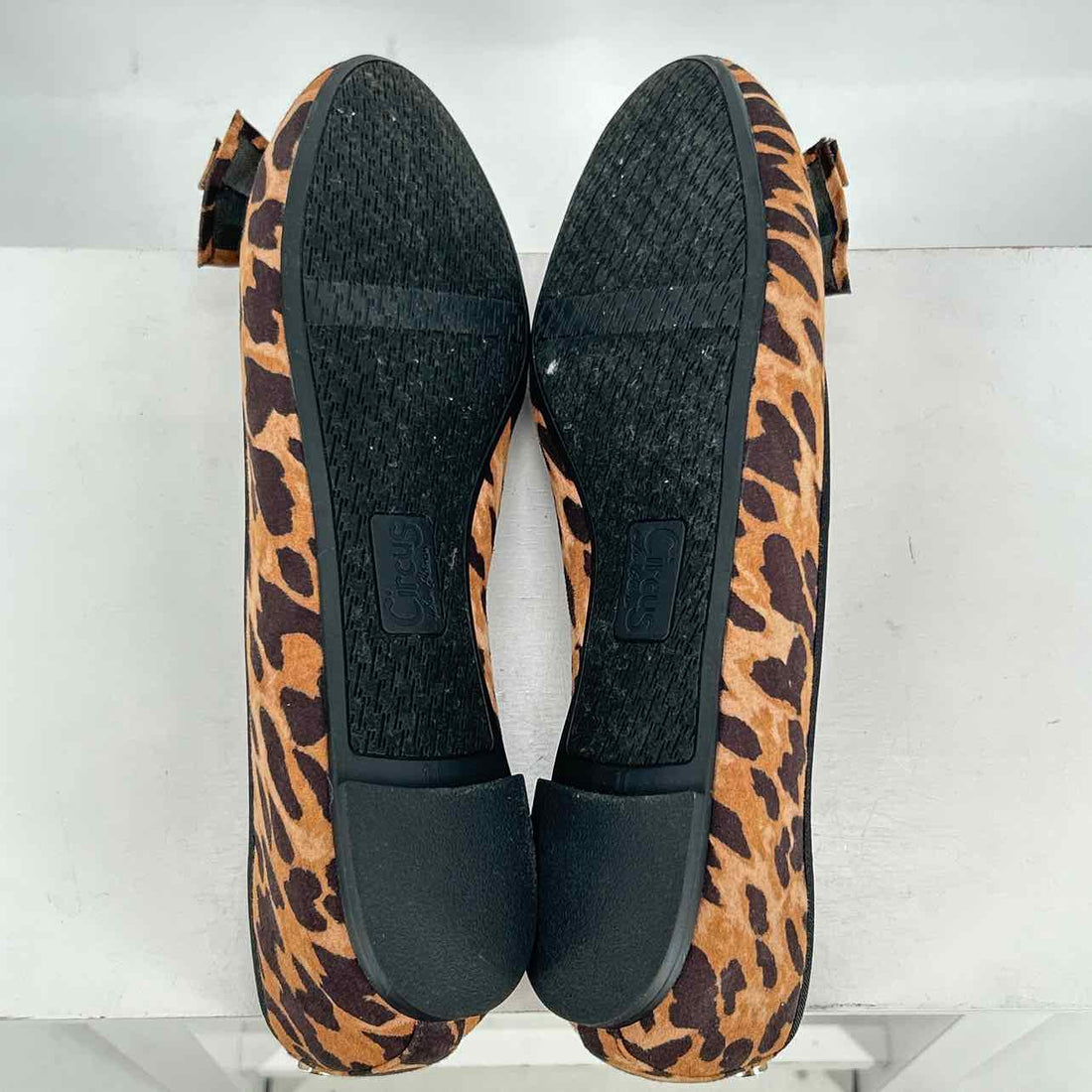 Circus By Sam Edelman Women Size 11 Leopard Flats