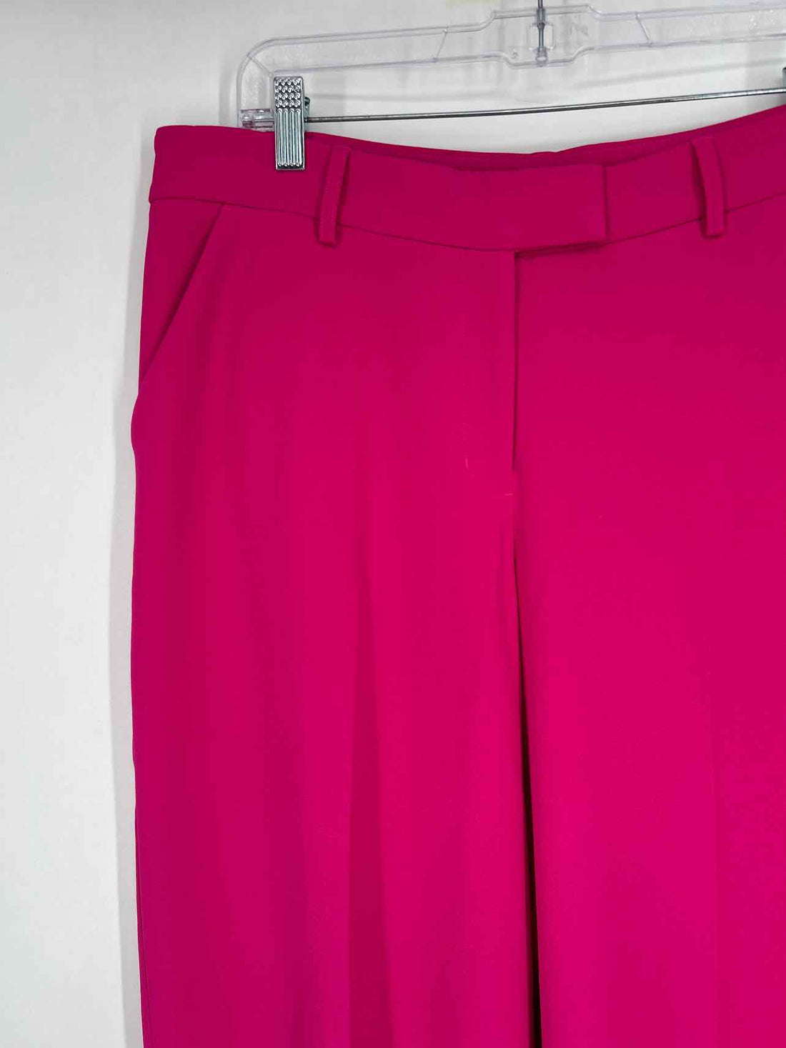 Express Size 12S Fuschia Pants