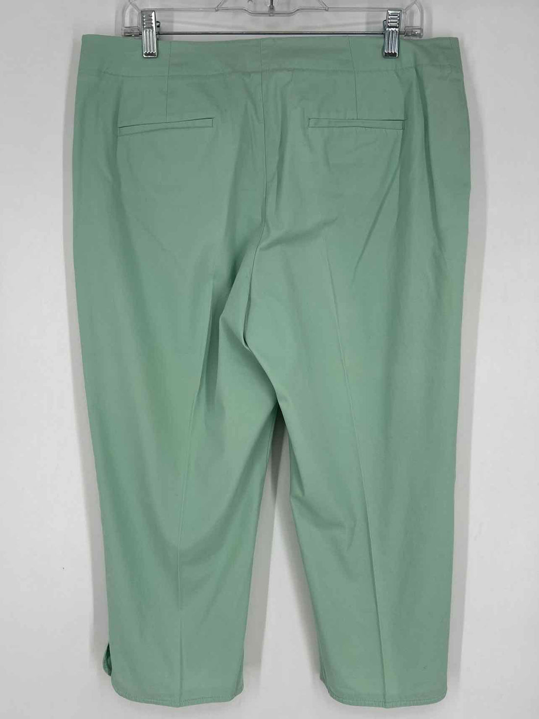 Talbots Size 14P Seafoam Pants