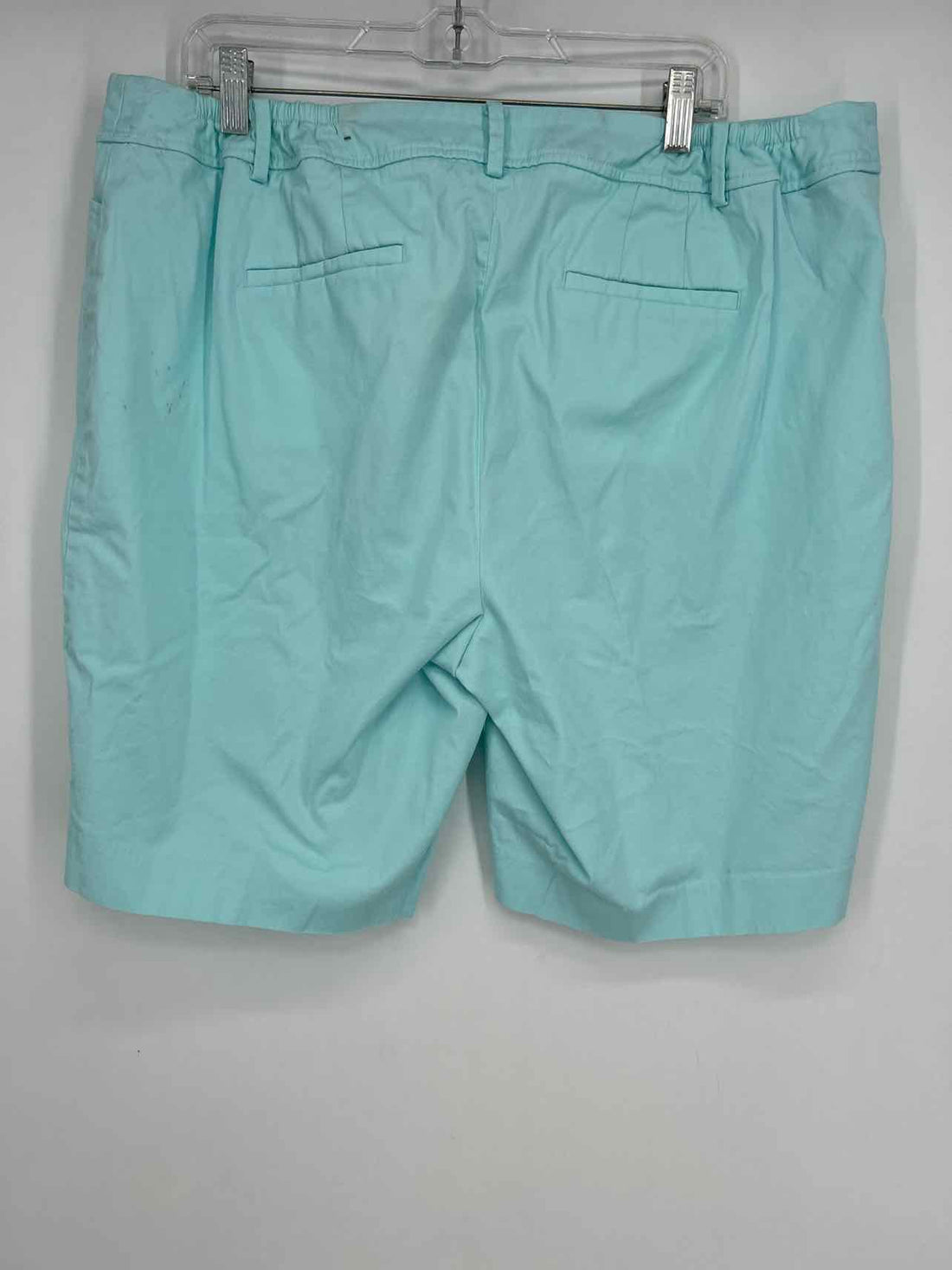 Talbots Size 18 Light Blue Shorts