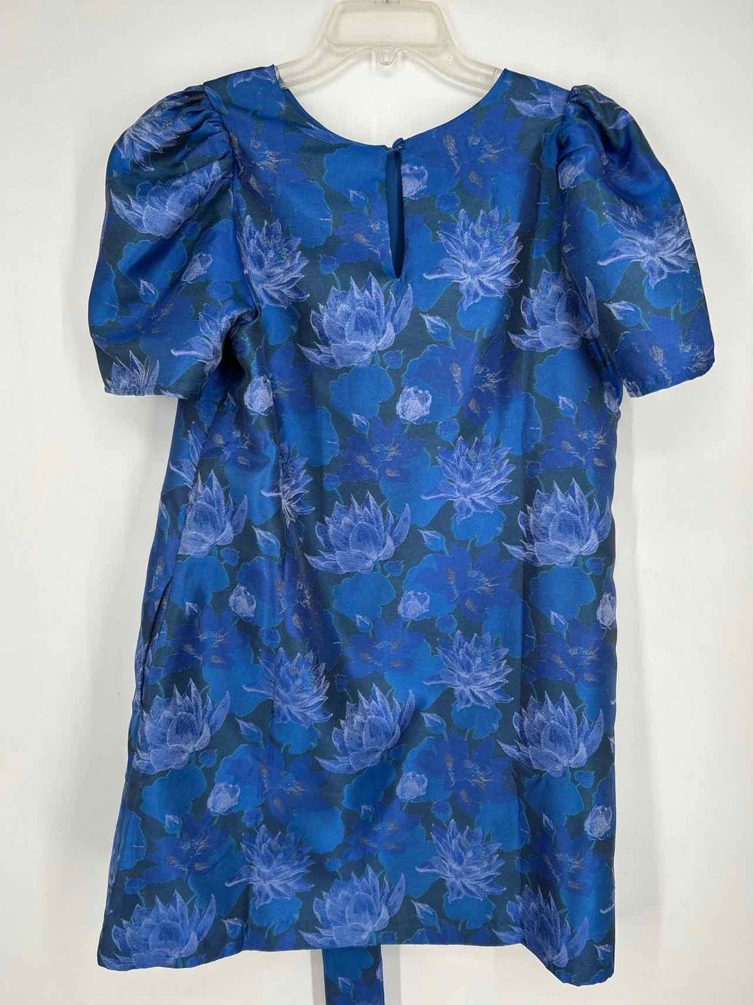Abbey Glass Size L Blue Floral NWT Dress