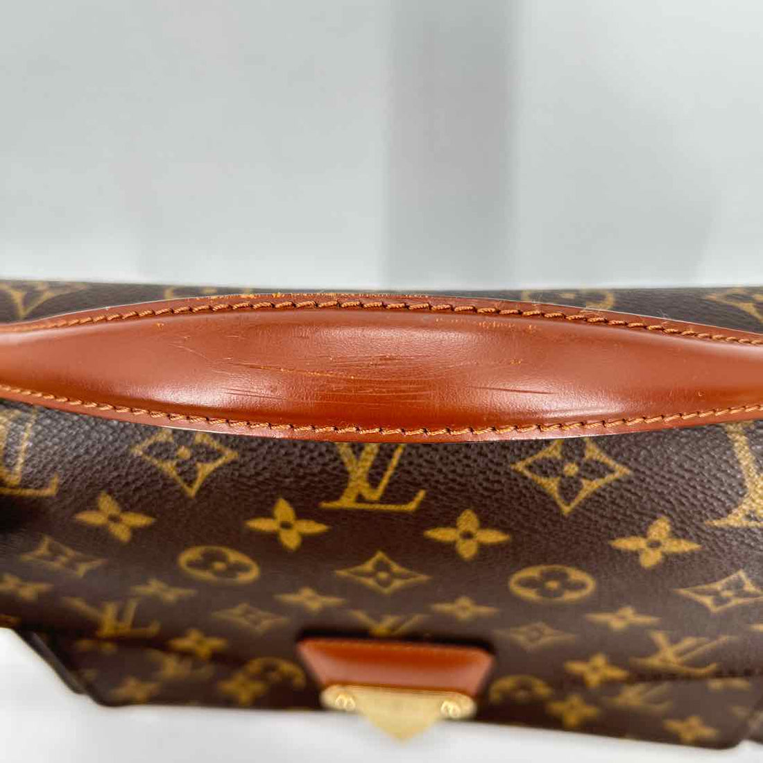 Louis Vuitton Monogram Coated Canvas & Leather LUXURY