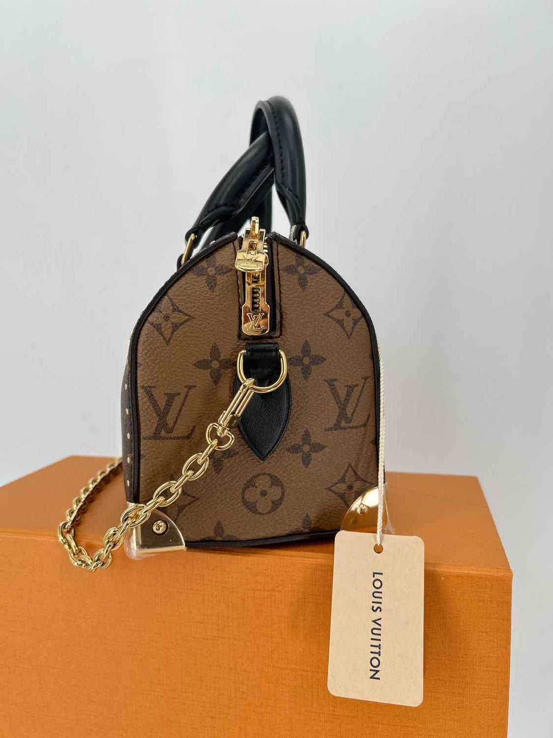 Louis Vuitton Speedy Trunk 20 LUXURY